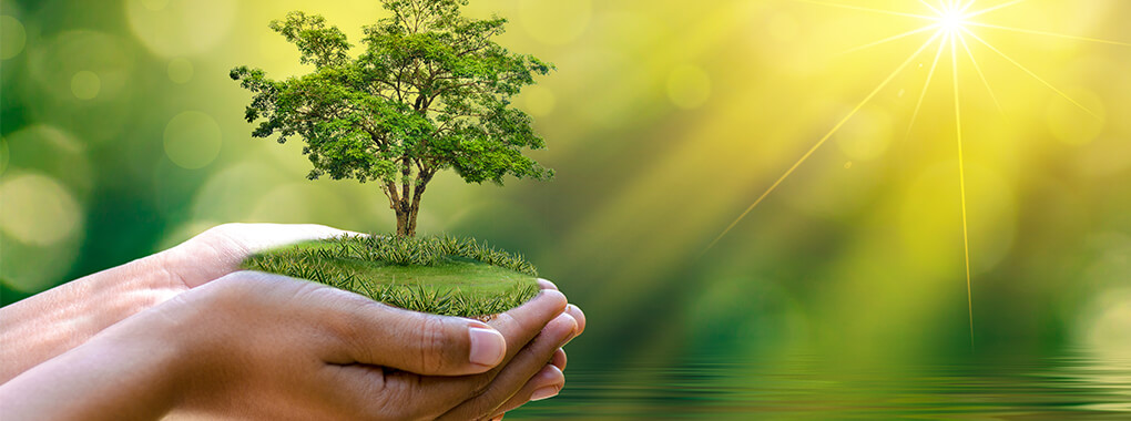 Unsere Umwelt – unsere Verantwortung Unsere Umwelt – unsere Verantwortung